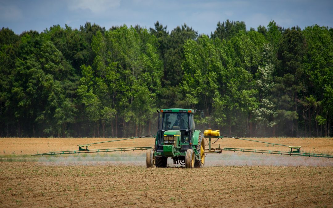 Stop Fertilizing the Weeds!