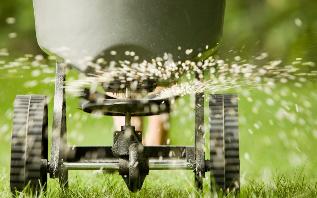 Stop Fertilizing the Weeds